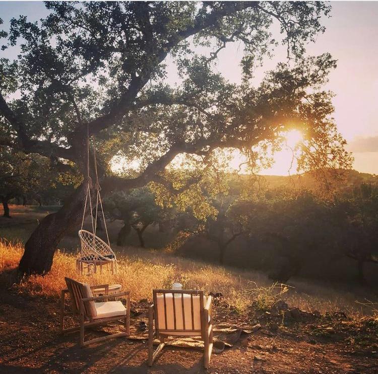 La Siesta Del Naranjo Vila Monesterio Exterior foto